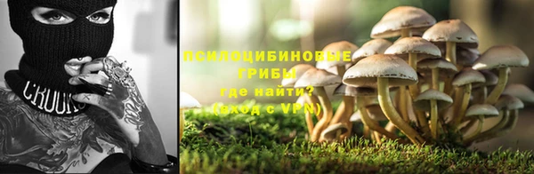 гидра Армянск