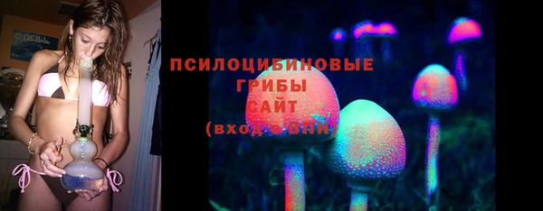 мет Арсеньев
